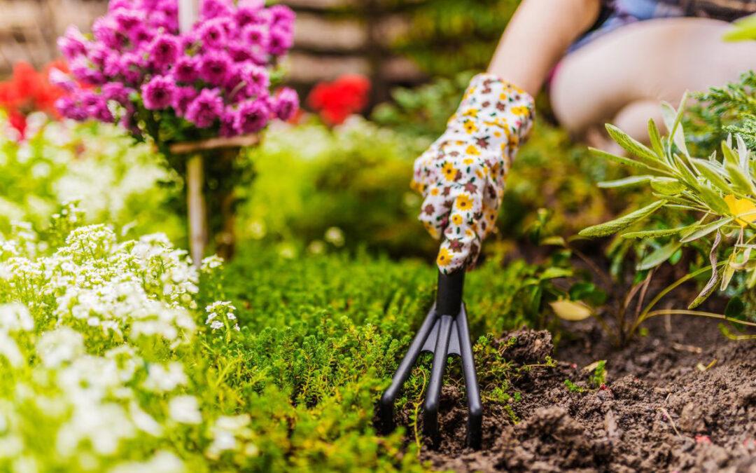 gardening expert tips